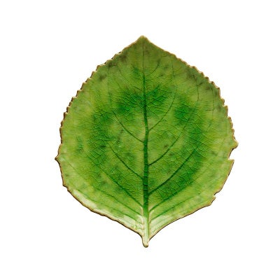 ハイドランジアリーフ22cm