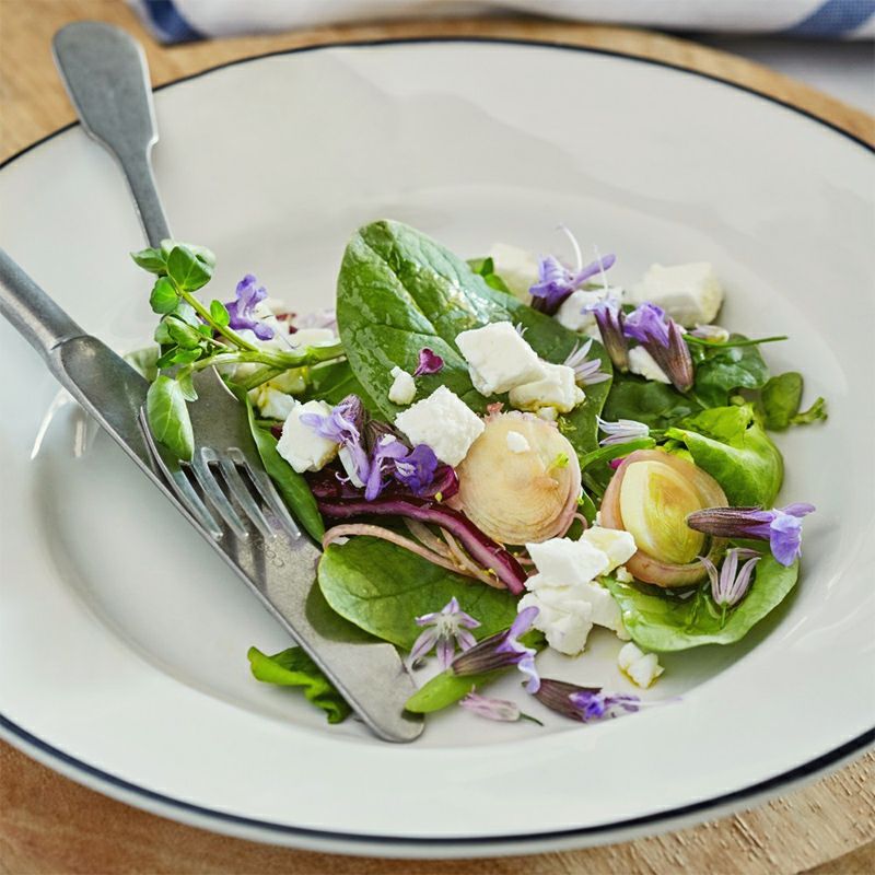 白と青のカラーが特徴のコスタ・ノバのベジャシリーズ。シンプルな色味と形が、お料理の彩を引き立てます。